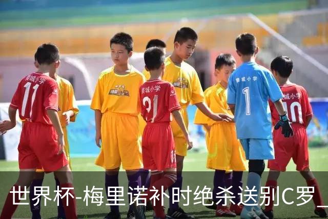 世界杯-梅里诺补时绝杀送别C罗 西班牙1-0葡萄牙进8强