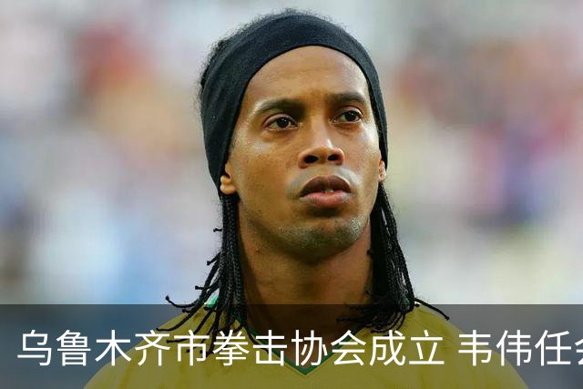 乌鲁木齐市拳击协会成立 韦伟任会长