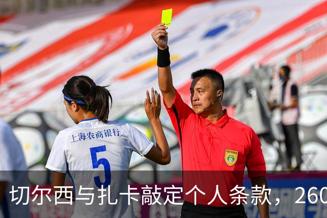 切尔西与扎卡敲定个人条款，2600万镑报价等待桑德兰放行