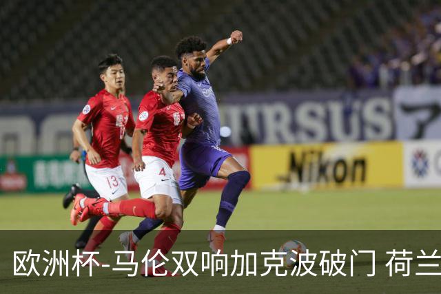 欧洲杯-马伦双响加克波破门 荷兰3-0罗马尼亚